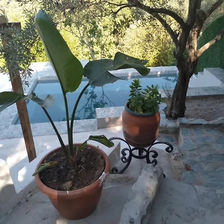 Chalet Gurmefes Tiny House Selcuk